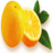 奉节脐橙网-奉节县始于1953年的脐橙产地直销