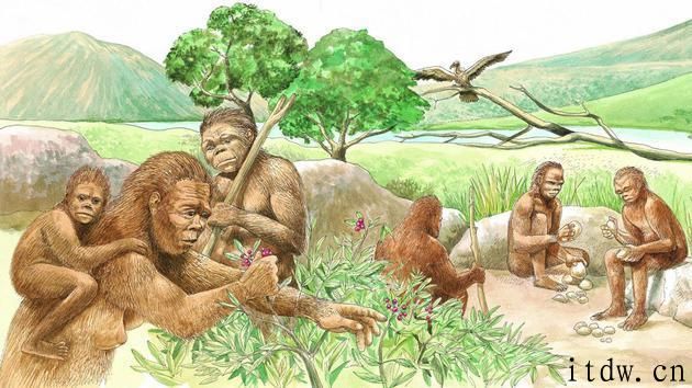 早期人类离开非州的缘故：气候变化、追随捕猎说法不一