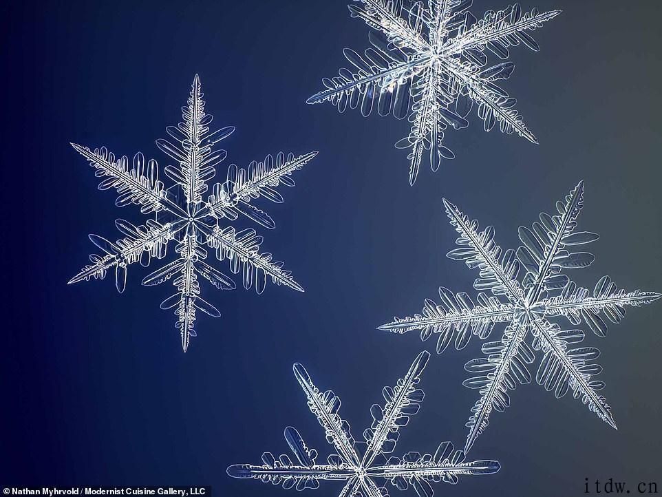 微软公司前高管 18 个月打造 1 亿像素照相机，拍出分辨率最大雪花照片