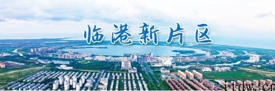 上海临港发布第三代半导体支持政策：基本建设世界级 “修真芯港”