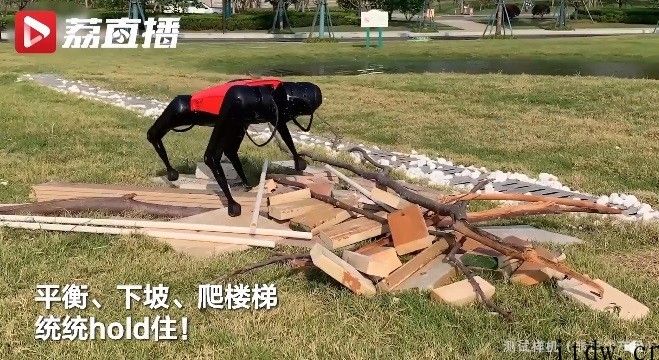 南京市一企业产品研发出第五代阿尔法机器狗：行走速率创世界纪录，或推家用平价版