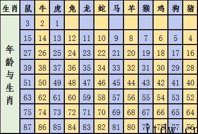 2022十二生肖号码表图 2020年正版彩图材料