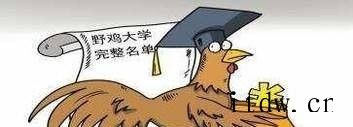 如何识别野鸡大学