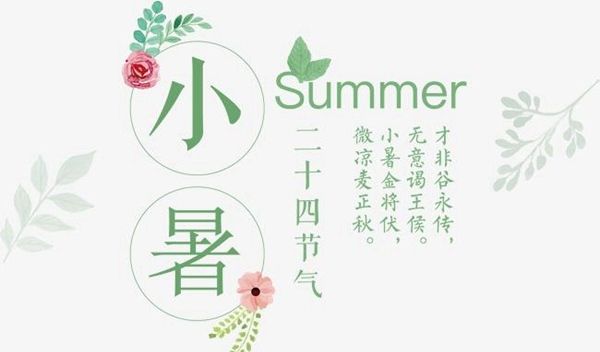 夏至的下一个节气是什么