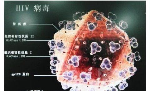 艾滋病起源的罪魁祸首是谁吗