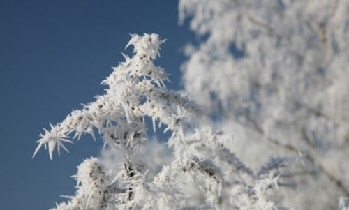 世界上最冷的国家排名 冬天的十大优点与缺点