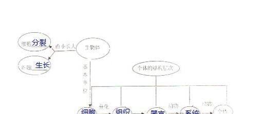 人是天生存在并不是进化的,而是上帝造出来的吗?