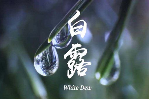 白露这个名字是怎么来的?天气转凉,今年的白露准确时间是哪一天