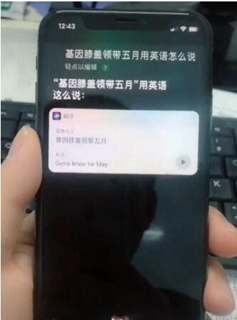 “树新蜜蜂”这个中文词用英文怎么说?你用siri去问看绝对会