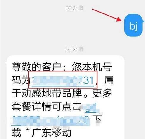 手机号码怎么查询?