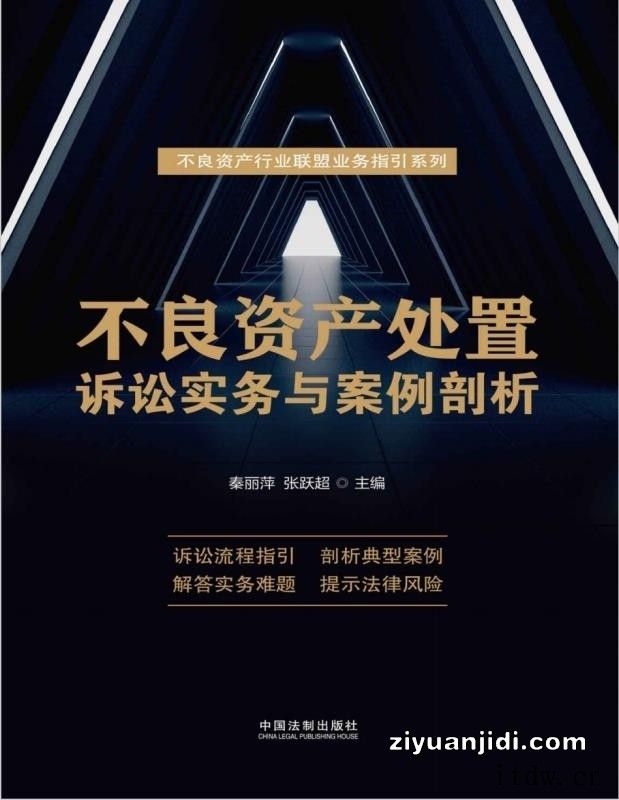 不良资产处置诉讼实务与案例剖析不良资产行业联盟业务指引系列