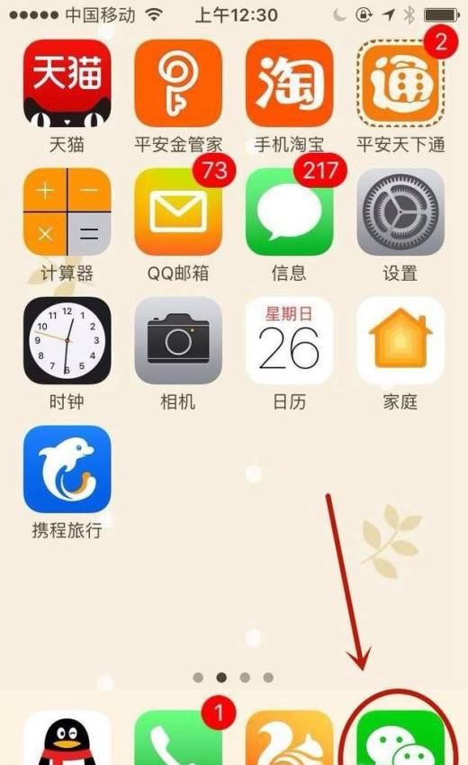 手机桌面上找到微信并点击它