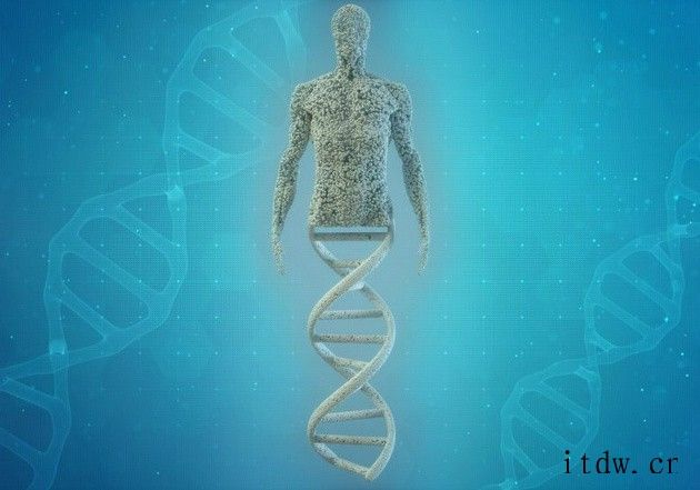 人类与猩猩的不同之处:答案就在“垃圾 DNA”