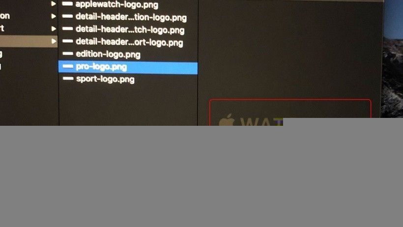 苹果“Apple Watch Pro”品牌名称 Logo 曝