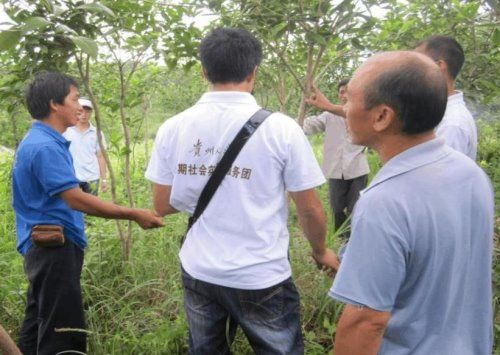 调查报告怎么写