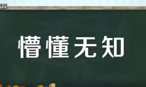 懵懂无知的反义词是什么？