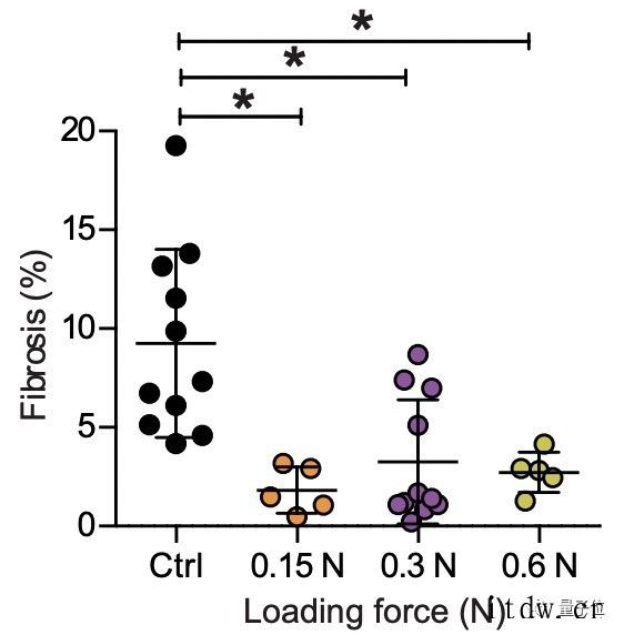 按摩加快肌肉修复有科学依据了,哈佛大学研究成果登 Scien