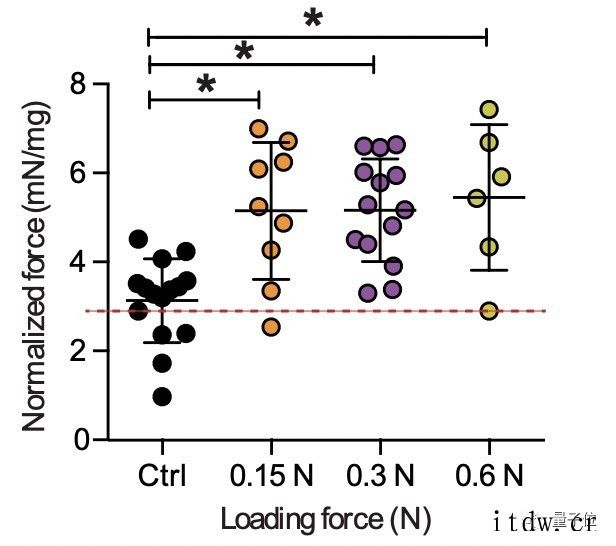 按摩加快肌肉修复有科学依据了,哈佛大学研究成果登 Scien