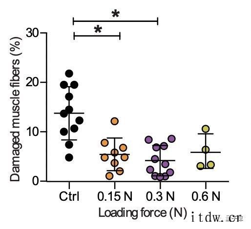 按摩加快肌肉修复有科学依据了,哈佛大学研究成果登 Scien