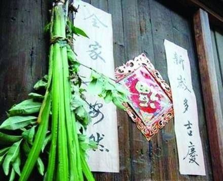 端午节手抄报上写什么？