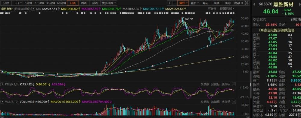 半年股价暴涨近5倍,锂电池材料供应商鼎盛新材遭立案调查