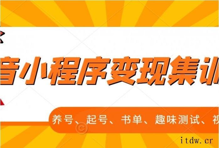 抖音小程序变现集训课，养号、起号、书单、趣味测试、视频剪辑