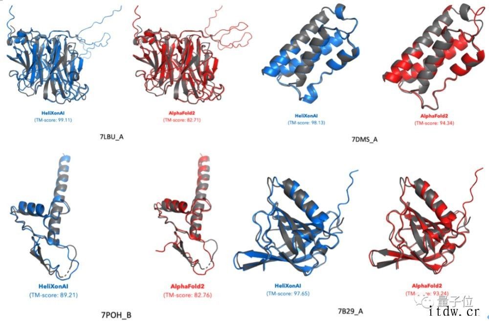 AlphaFold2 被超越,中国团队刷新全球蛋白质结构预测