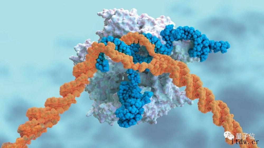 Science发布 2021 年度十大科学突破榜单:Alph