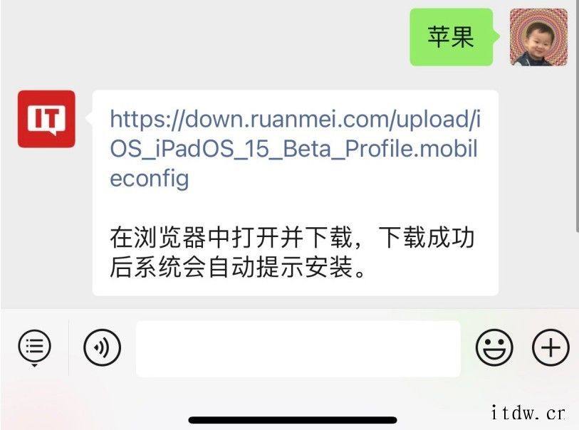 苹果iOS/iPadOS 15