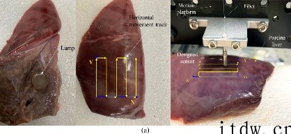中科院研发出“触感”的机器人,成功为猪肝进行了微创手术