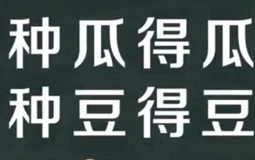 种瓜得瓜种豆得豆意思是什么？