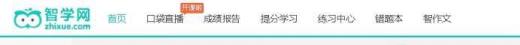 智学网怎么查分呢