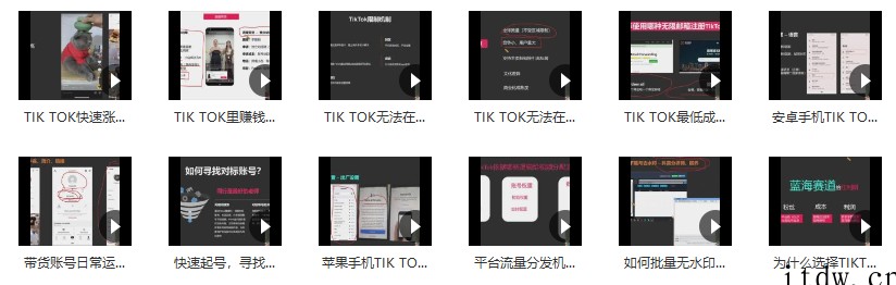 Seven漆·2022Tiktok从小白到精英实操特训营