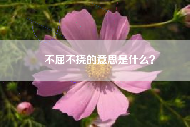 不屈不挠的意思是什么？