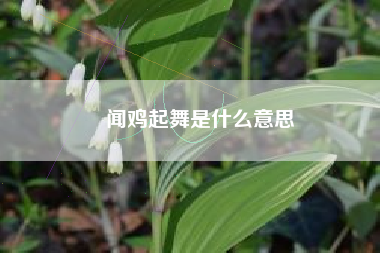 闻鸡起舞是什么意思