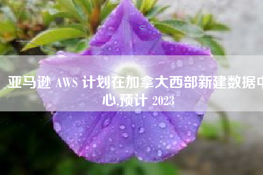 亚马逊 AWS 计划在加拿大西部新建数据中心,预计 2023