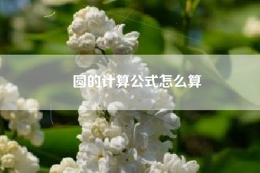 圆的计算公式怎么算