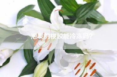 泡发的桃胶能冷冻吗？