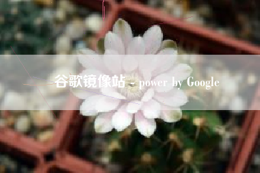 谷歌镜像站 - power by Google