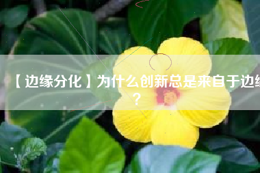 【边缘分化】为什么创新总是来自于边缘？