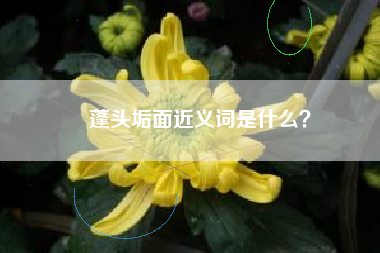 蓬头垢面近义词是什么？