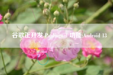 谷歌正开发 Panlingual 功能:Android 13