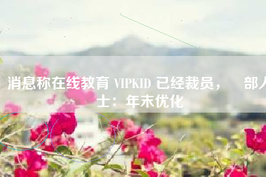 消息称在线教育 VIPKID 已经裁员，內部人士：年末优化