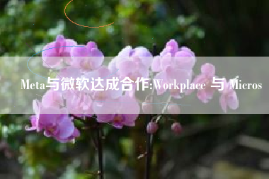 Meta与微软达成合作:Workplace 与 Micros