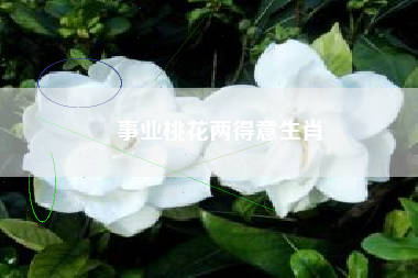 事业桃花两得意生肖