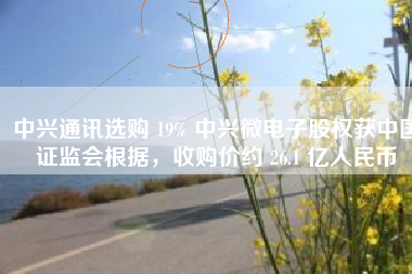 中兴通讯选购 19% 中兴微电子股权获中国证监会根据，收购价约 26.1 亿人民币