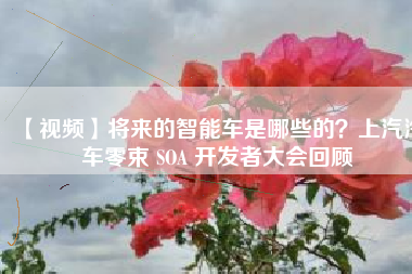 【视频】将来的智能车是哪些的？上汽汽车零束 SOA 开发者大会回顾