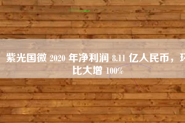 紫光国微 2020 年净利润 8.11 亿人民币，环比大增 100%