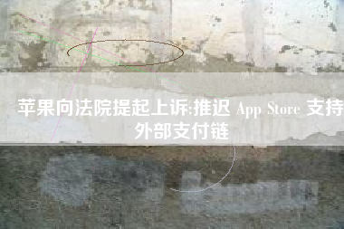 苹果向法院提起上诉:推迟 App Store 支持外部支付链