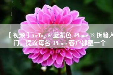 【视频】AirTag & 蓝紫色 iPhone 12 拆箱入门，提议每名 iPhone 客户都整一个